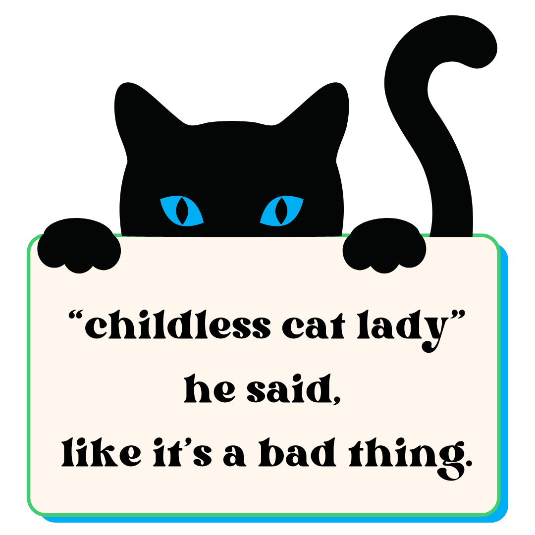 Childless Cat Lady He Said T-Shirt